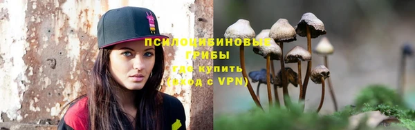 сатива Армянск