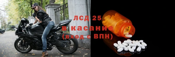 сатива Армянск
