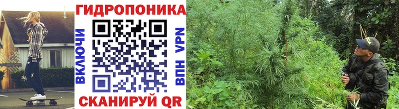 Каннабис гибрид  Арск 